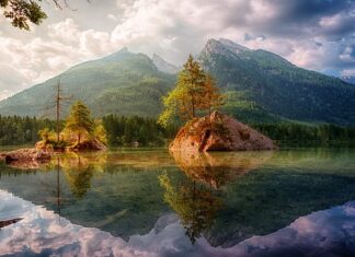 Ile kosztuje górna szczeka na 4 implantach?