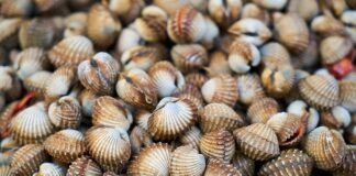 Jak domowym sposobem leczyć łuszczycę?