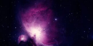 Czego nie jeść dzień przed badaniem krwi?