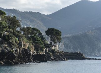 Ile kosztuje wyposażenie łóżka rehabilitacyjnego?