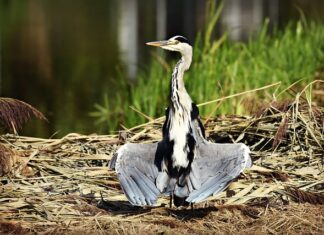 Jak suszyć majtki menstruacyjne?