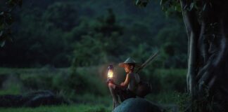 Czy lampa UV niszczy bakterie nitryfikacyjne?