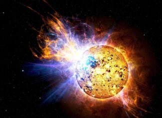 Czy promieniowanie UV jest szkodliwe dla roślin?