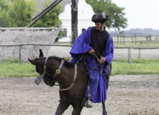 Ile kosztuje wypożyczenie materaca Przeciwodleżynowego?