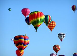 Ile godzin przed pobraniem krwi nie pić? Ile godzin przed pobraniem krwi nie pić?