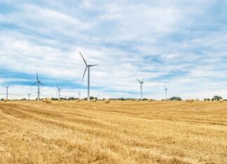 Jak długo rolować twarz?