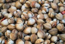 Jak usunąć łuski łuszczyca?