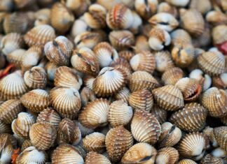 Jak usunąć łuski łuszczyca?