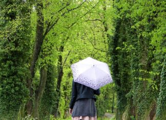 Jak znaleźć zgubę?