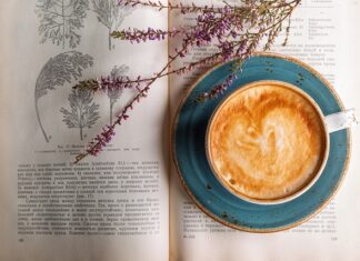 Kiedy nie wolno pić melisy?